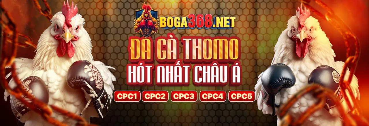 Câu Lạc Bộ VIP hi8 info với trải nghiệm cá cược sang trọng