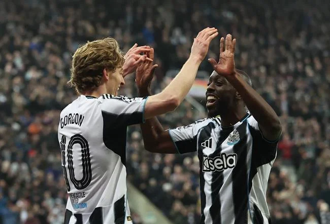 Đá Gà trực tuyến độc đáo với các trận đấu đỉnh cao trên Hi8 Info